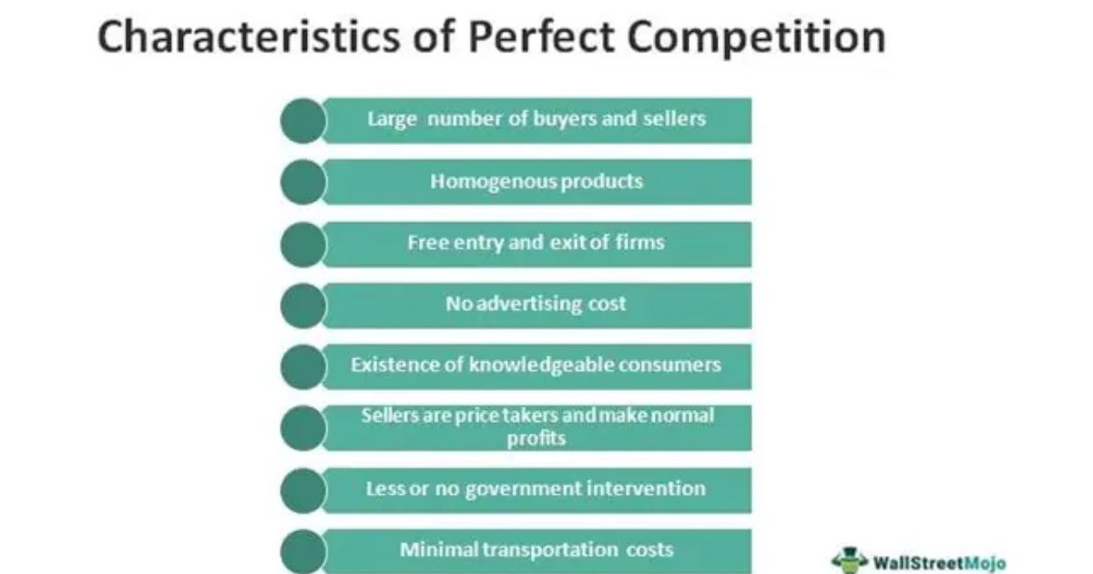 Characteristics of a Perfectly Competitive Market