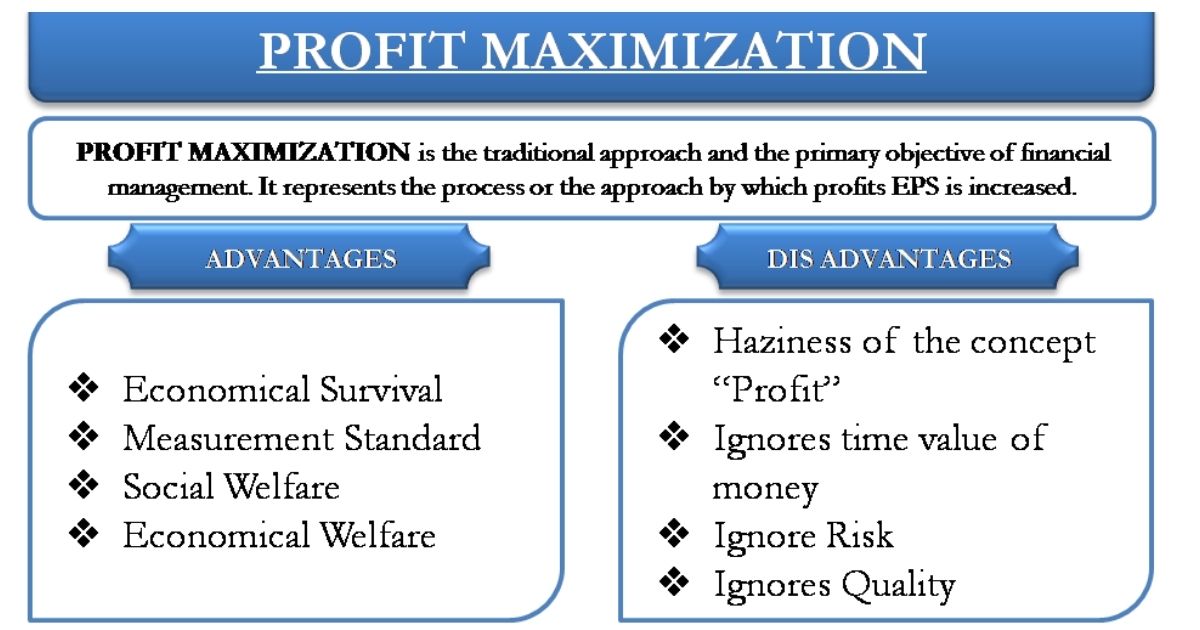 Profit Maximization: The Pursuit of Financial Gain