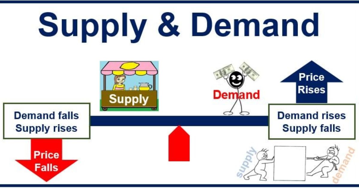 The Role of Supply and Demand