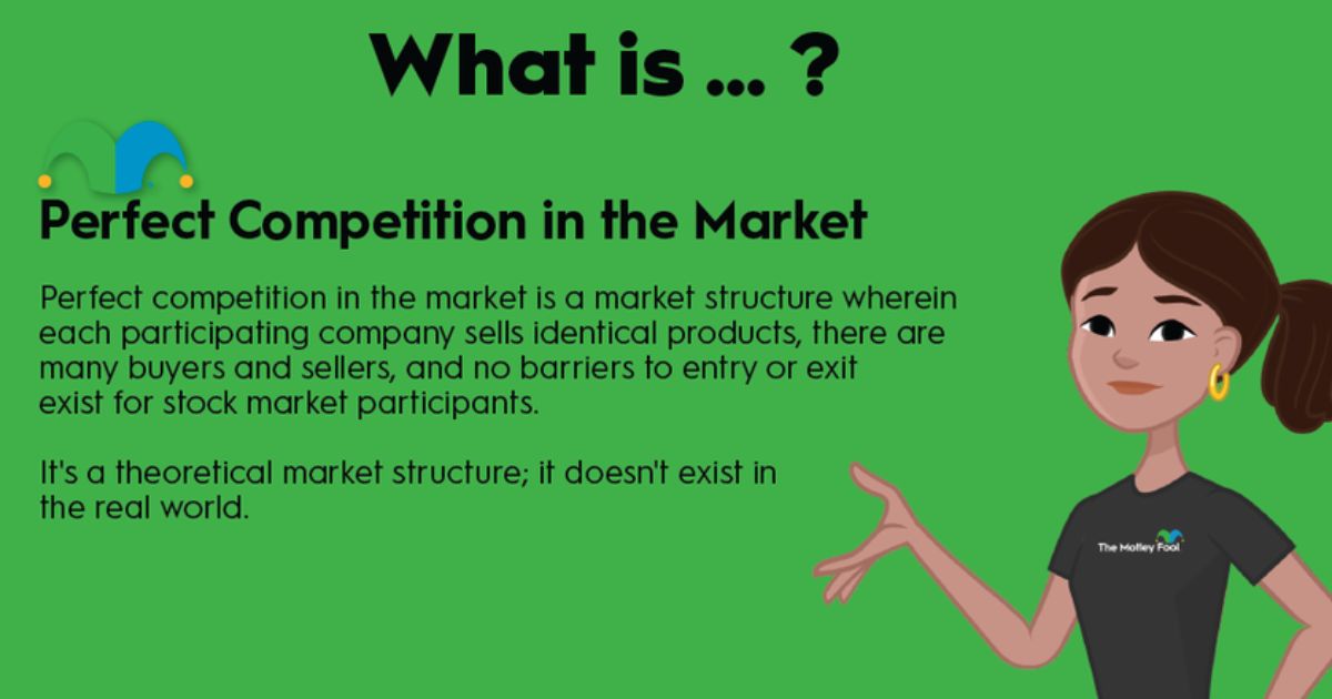 What Is The Best Example Of A Perfectly Competitive Market